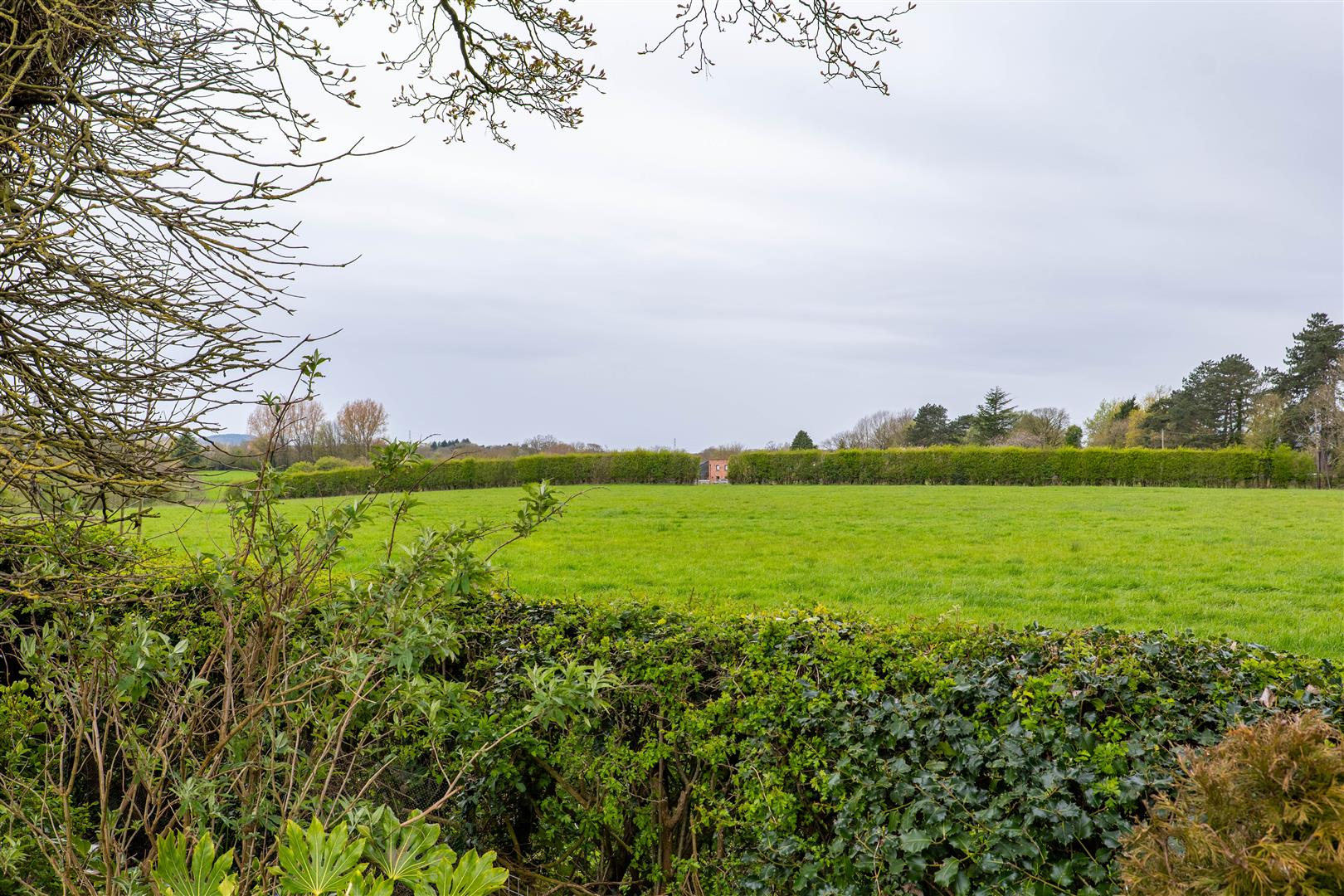 Fieldside Avenue, Chorley